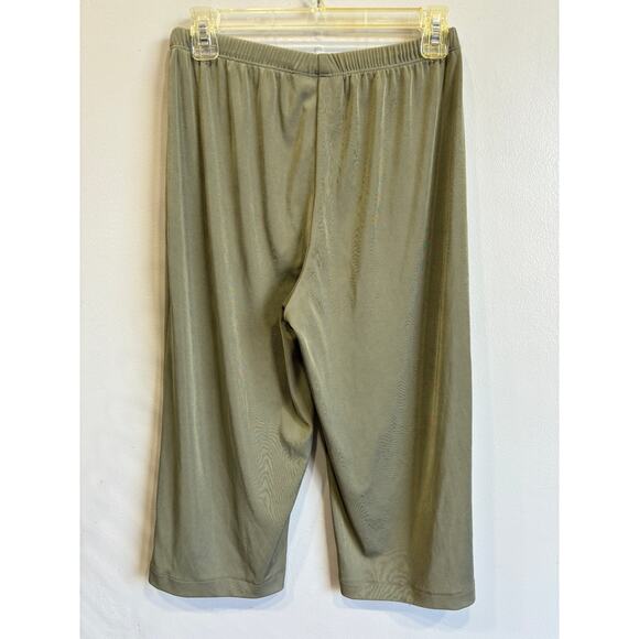 Chicos Easywear Capry Pants Green Pull On Stretchy Comfort - Picture 3 of 3